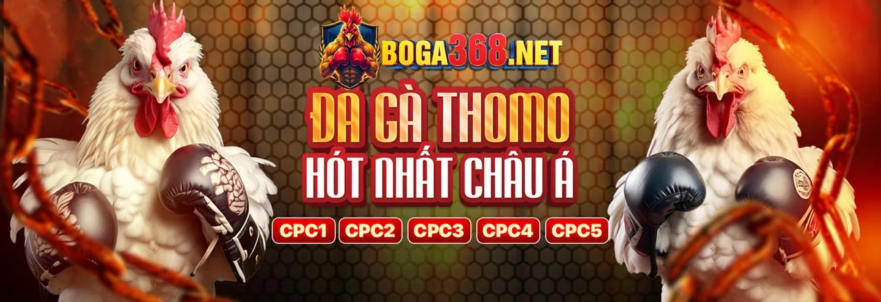 Chương trình VIP eu99 link vào